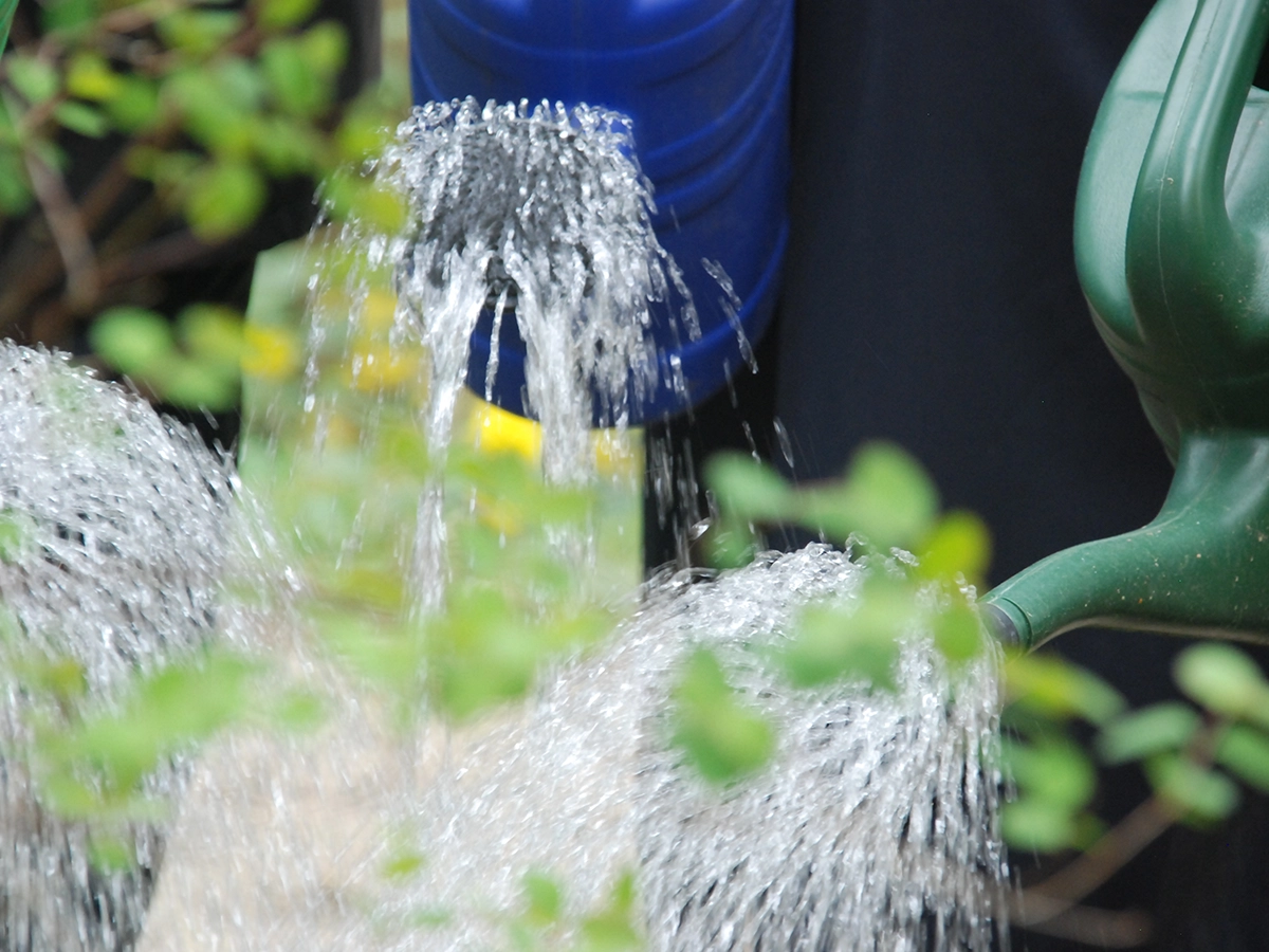 Einen alternativen Text für das Bild einfügen